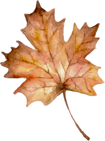 Watercolor Autumn Shape.